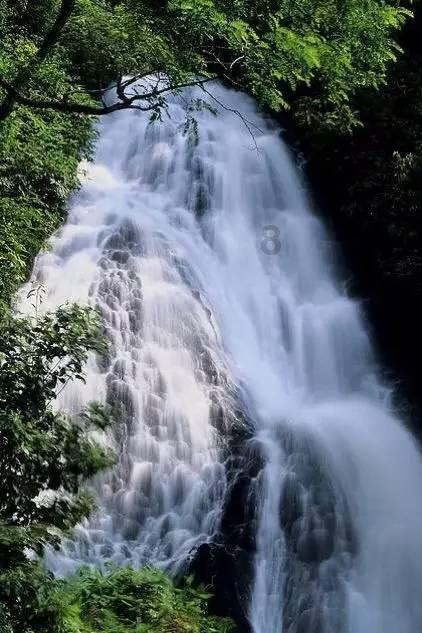 神秘的岛屿